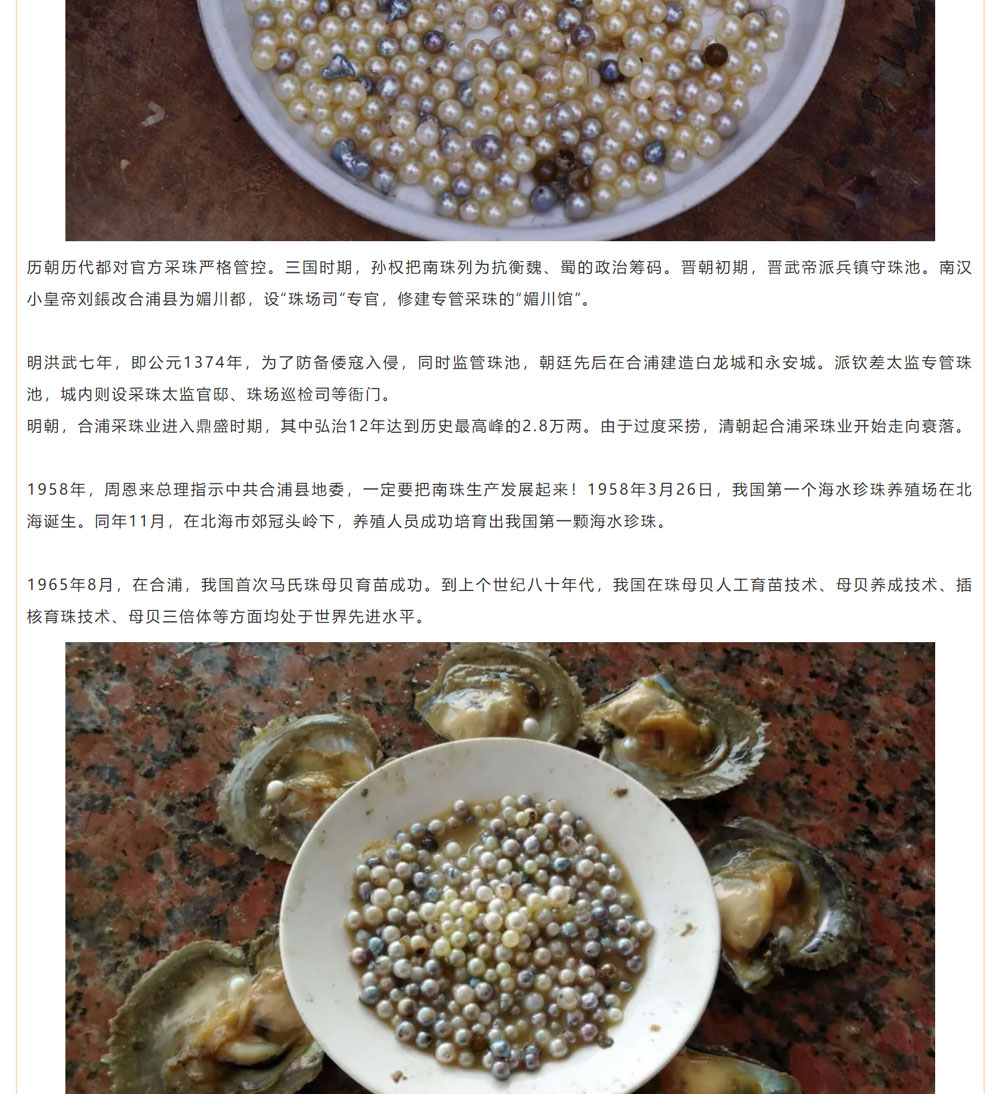 古老南珠，綻放異彩