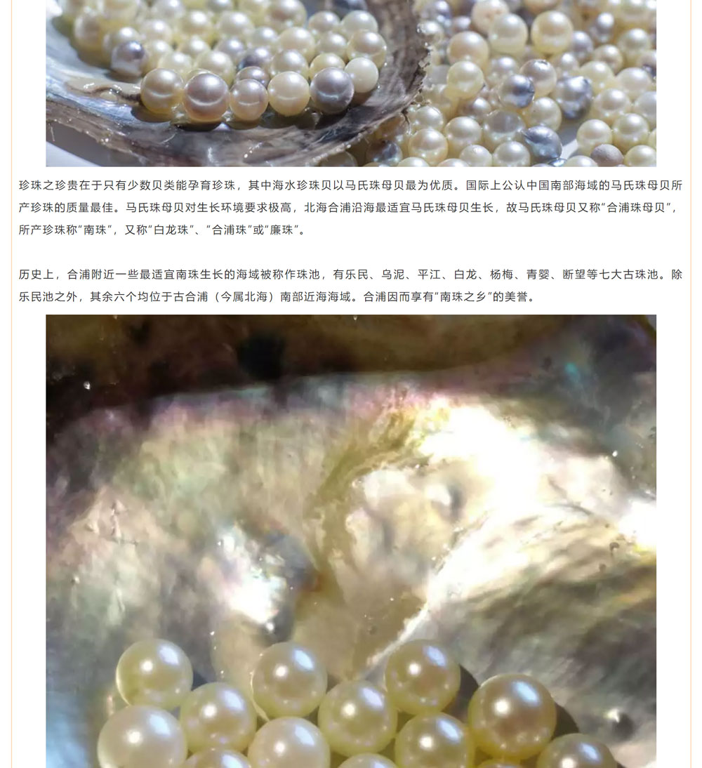 古老南珠，綻放異彩