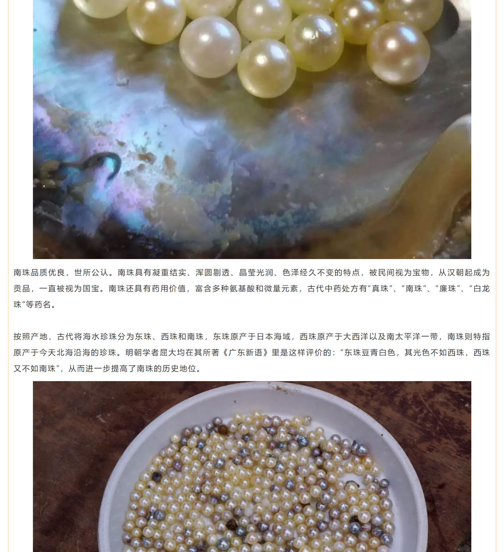 古老南珠，綻放異彩